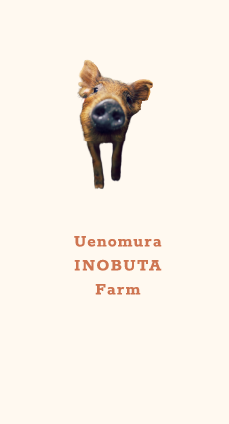 Uenomura INOBUTA Farm Instagram