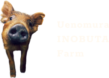 Uenomura INOBUTA Farm Instagram